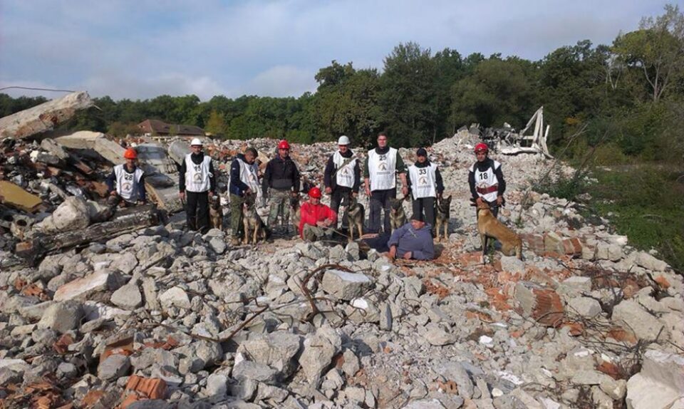 Un câine al ISU Suceava, campion național la exerciții de căutare a victimelor de sub dărâmături