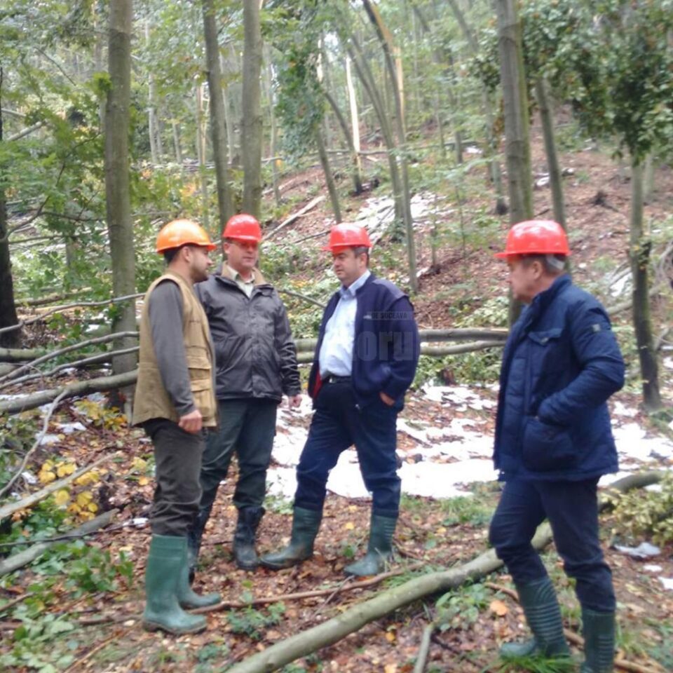 Inspecția calamitaților din zona Gura Humorului, făcuta de președintele CJ, Cătălin Nechifor, împreună cu șeful Direcției Silvice Suceava, Sorin Ciobanu