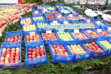 A XII-a ediție a Târgului Mărului
