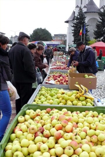 A XII-a ediție a Târgului Mărului
