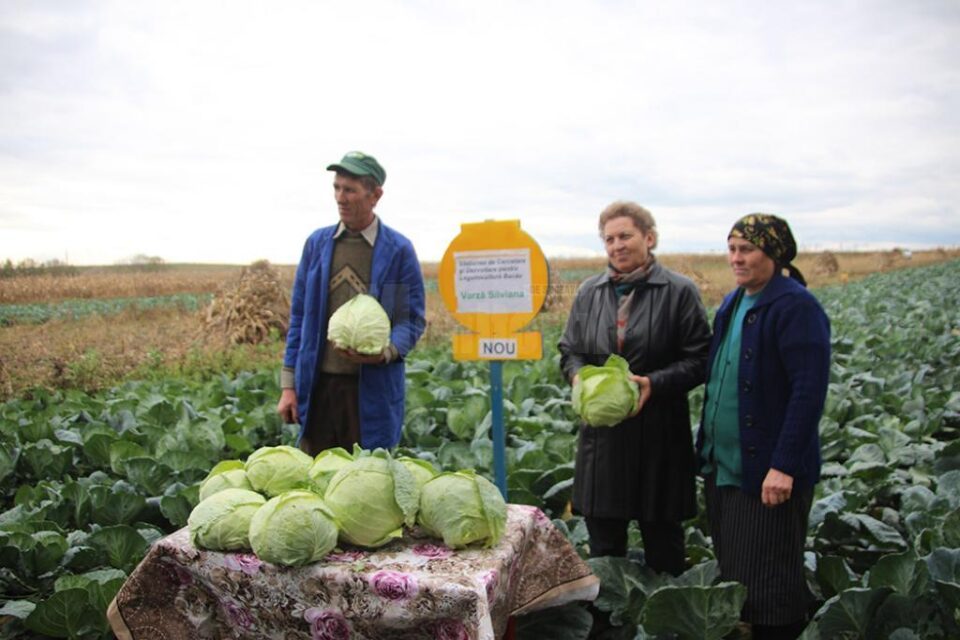 Vasile și Maria Mătrășoaia împreună cu Silvica Ambăruș (mijloc), cercetător la Stațiunea pentru Legumicultură Bacău