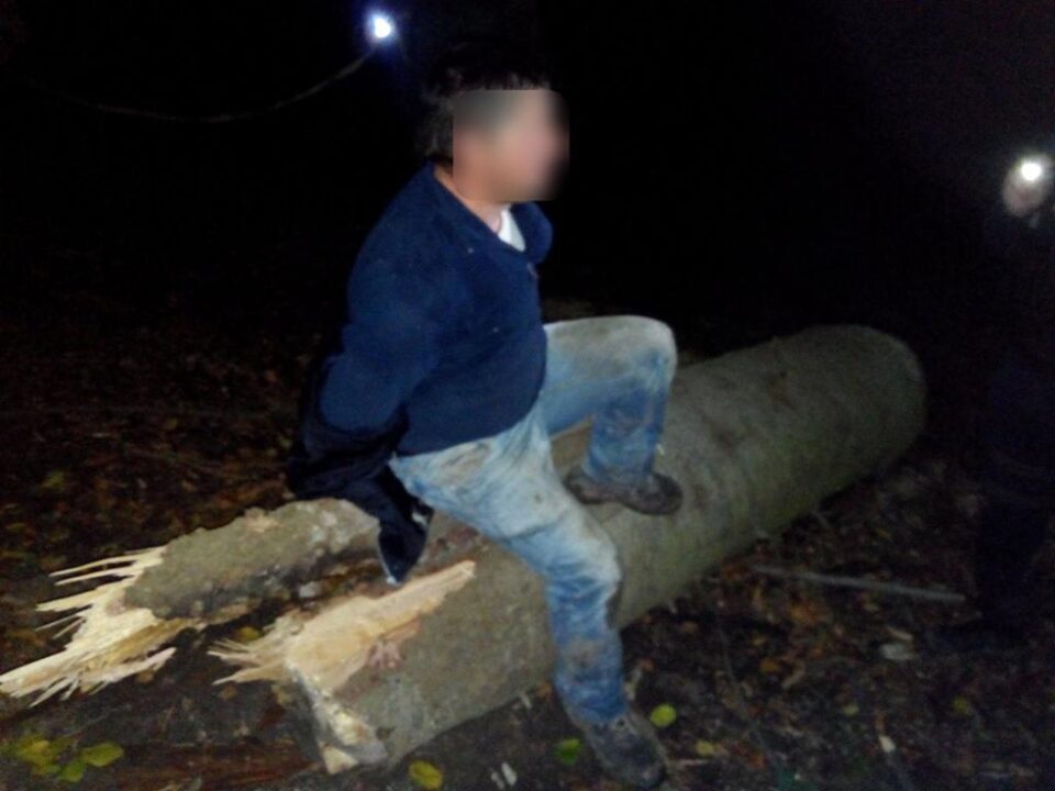 Un bărbat care tăia copaci în miez de noapte, prins de jandarmi și silvicultori