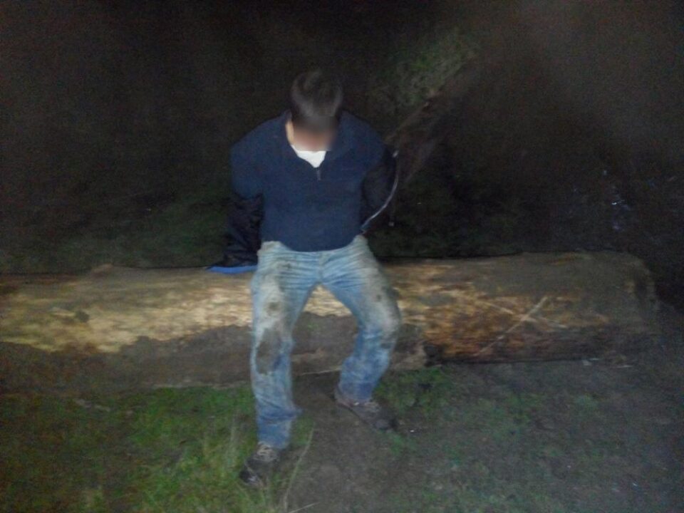 Un bărbat care tăia copaci în miez de noapte, prins de jandarmi și silvicultori