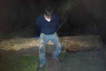 Un bărbat care tăia copaci în miez de noapte, prins de jandarmi și silvicultori