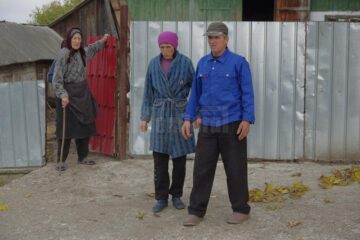 Panică în Vadu Moldovei. Un porc agresiv atacă animalele întâlnite în cale