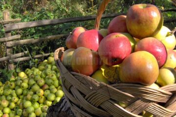 Cidrul anti-mahmureală al bunicului