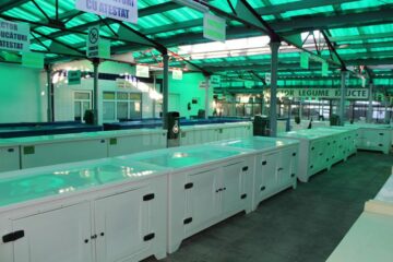 Corpul modernizat al Pietei Centrale va fi deschis de vineri