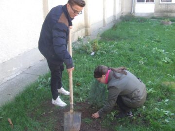 Elevii Colegiului Tehnic „Alexandru Ioan Cuza” au plantat arbori în curtea școlii