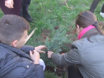 Elevii Colegiului Tehnic „Alexandru Ioan Cuza” au plantat arbori în curtea școlii