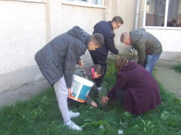 Elevii Colegiului Tehnic „Alexandru Ioan Cuza” au plantat arbori în curtea școlii
