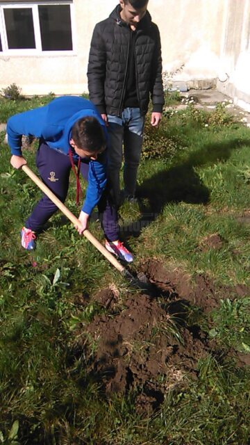 Elevii Colegiului Tehnic „Alexandru Ioan Cuza” au plantat arbori în curtea școlii