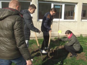 Elevii Colegiului Tehnic „Alexandru Ioan Cuza” au plantat arbori în curtea școlii