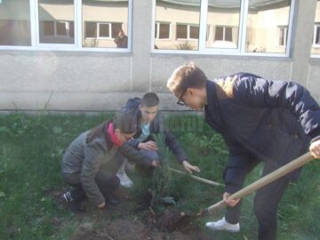 Elevii Colegiului Tehnic „Alexandru Ioan Cuza” au plantat arbori în curtea școlii