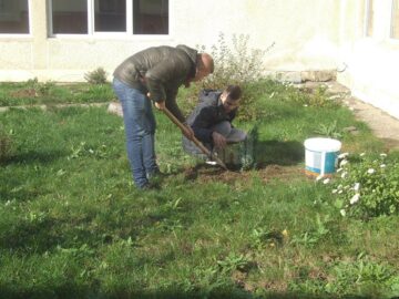 Elevii Colegiului Tehnic „Alexandru Ioan Cuza” au plantat arbori în curtea școlii