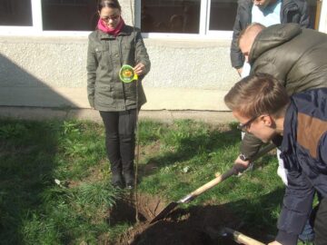Elevii Colegiului Tehnic „Alexandru Ioan Cuza” au plantat arbori în curtea școlii