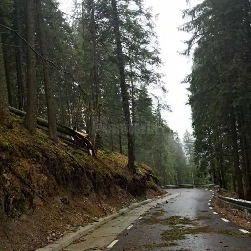 Dezastru pe Transrarău după o furtună în care vântul a suflat cu peste 100 km/h