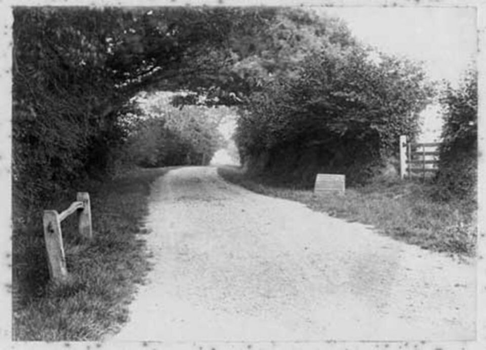 “Drumuri de târg și drumuri de muncă” “Drumuri de târg și drumuri de muncă”