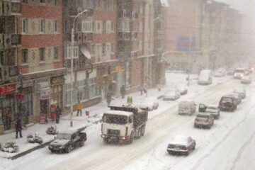 Cod galben de ninsori