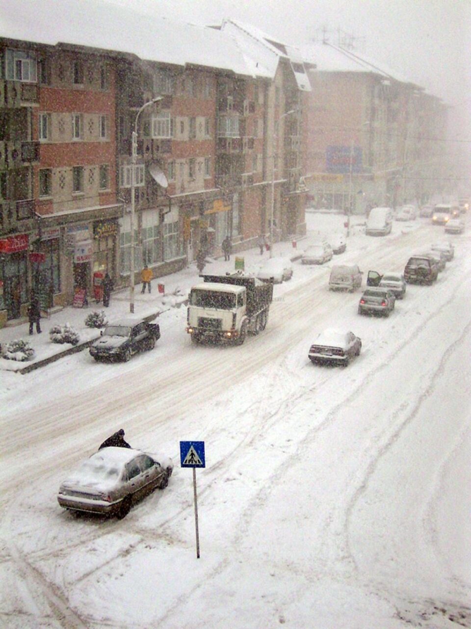 Cod galben de ninsori Cod galben de ninsori