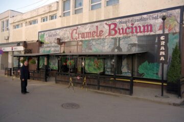 Cramele Bucium
