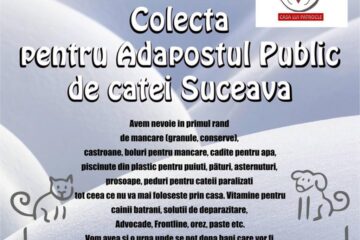 Colectă publică pentru adăpostul de câini din Lunca Sucevei