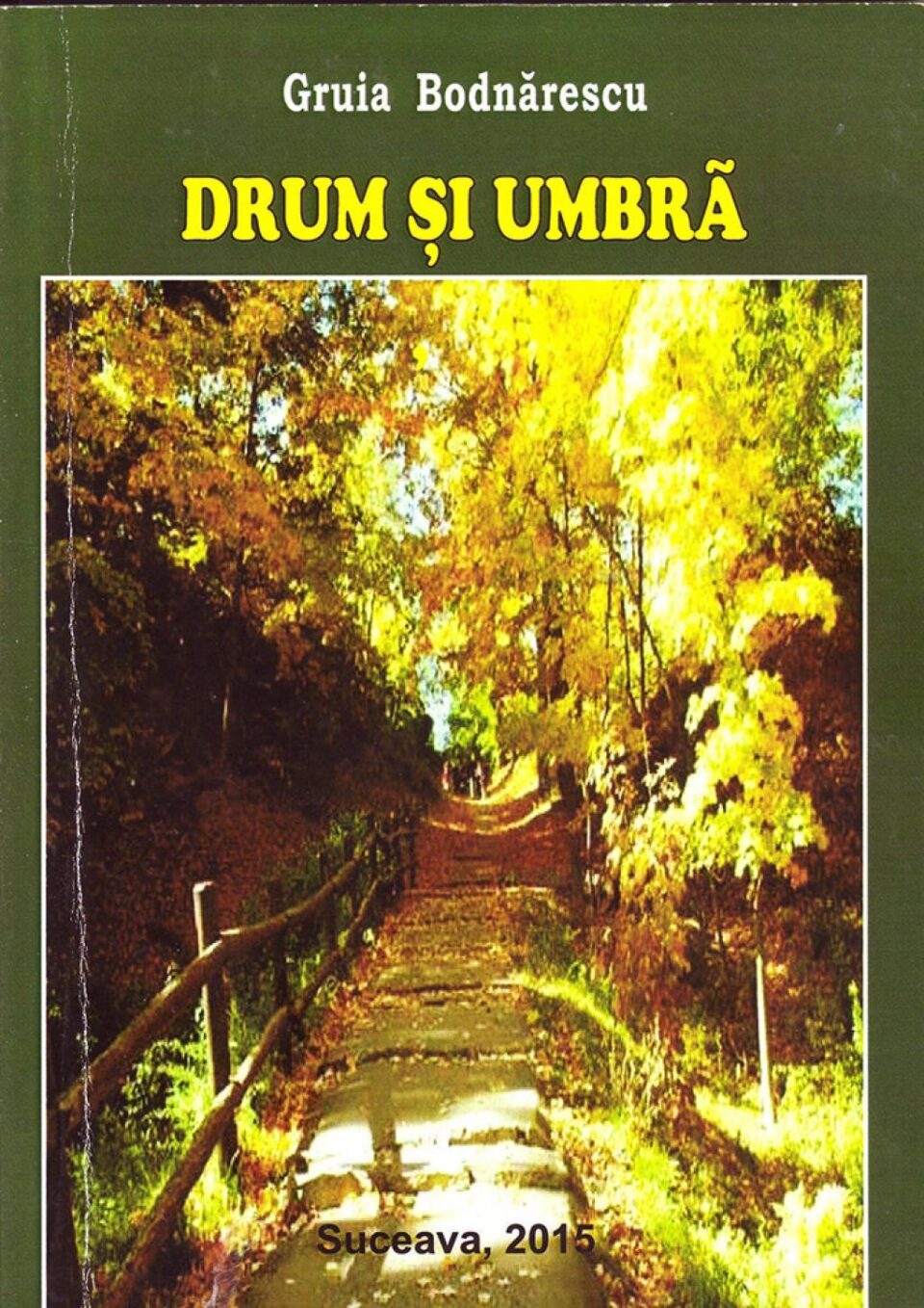 Gruia Bodnărescu: „Drum și umbră”