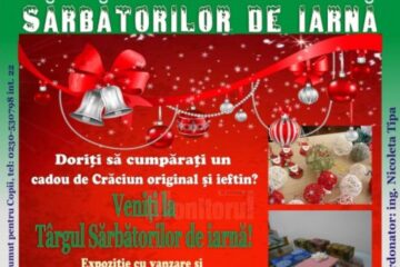 Târgul Sărbătorilor de Iarnă, vineri, la Biblioteca Bucovinei