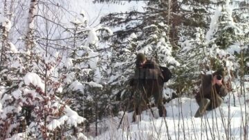 Îndrăgostiți de natură, Stelian și Emil Bodnari s-au gândit să le arate și altora ce se ascunde în spatele lizierei pădurii și au învățat singuri să filmeze și să editeze