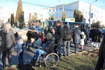 Număr record de spectatori la spectaculoasa paradă a datinilor și obiceiurilor de iarnă