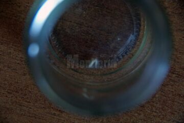 Viermișorul alb descoperit de femeie