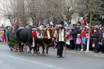 Un festival de poveste, “Porniți plugul Feți Frumoși”
