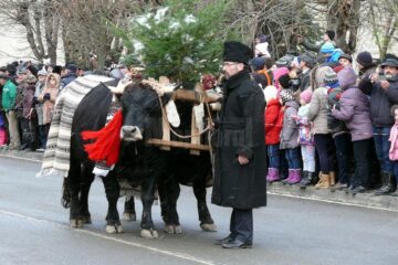 Un festival de poveste, “Porniți plugul Feți Frumoși”