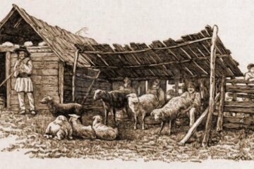 Stână românească – desen de Mattias Adolf Charlemont (1820-1871)