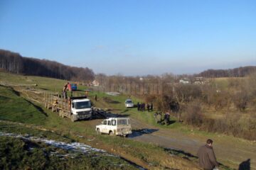 Copacii tăiați din pădure, depozitați la baza dealului