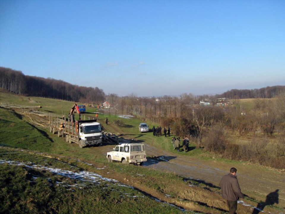 Copacii tăiați din pădure, depozitați la baza dealului