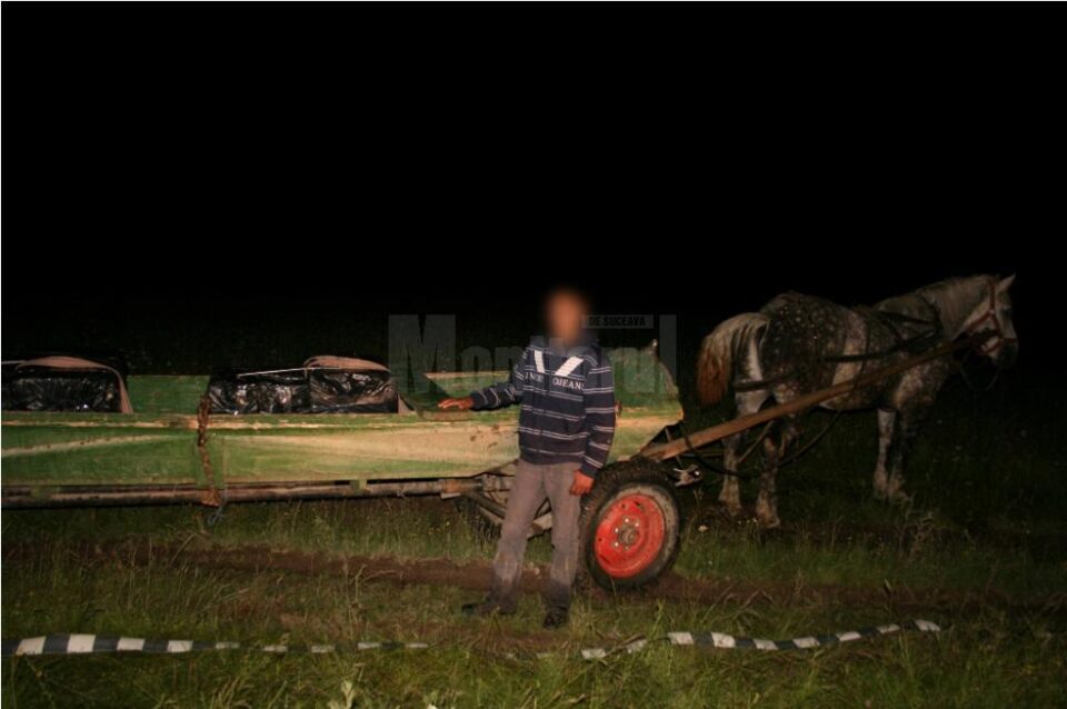 Țigări de contrabandă transportate cu căruța