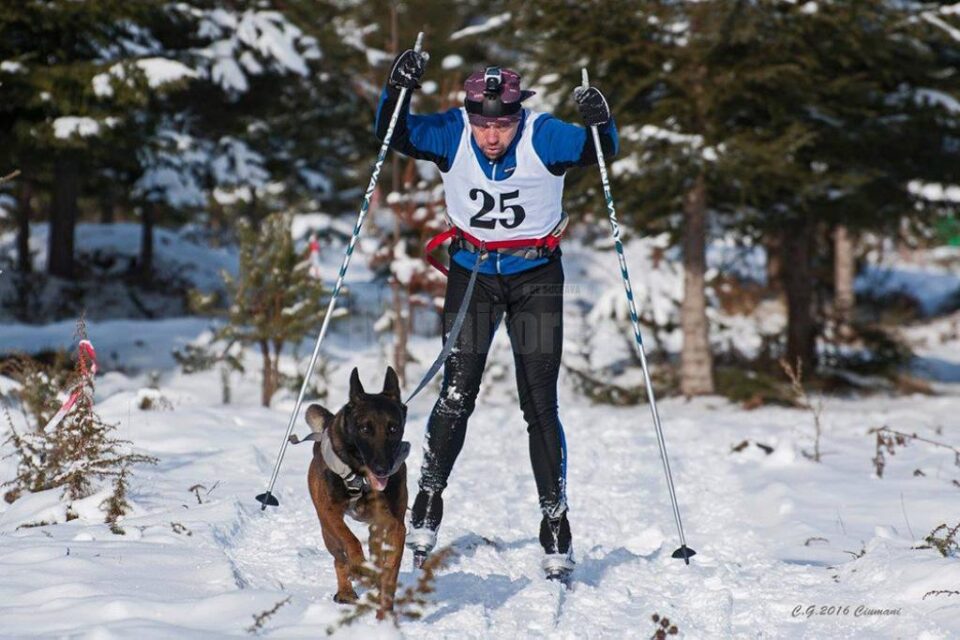 Salvamontiștii dorneni vor să „legitimeze” un câine de căutare pentru cazuri de avalanșă