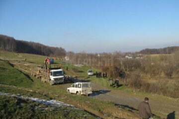 Volumul de masă lemnoasă scos la vânzare de silvicultorii suceveni este de 489.253 metri cubi