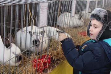 Iepuri uriași, găini pitice, porumbei campioni și păsări exotice, la o expoziție cu tradiție