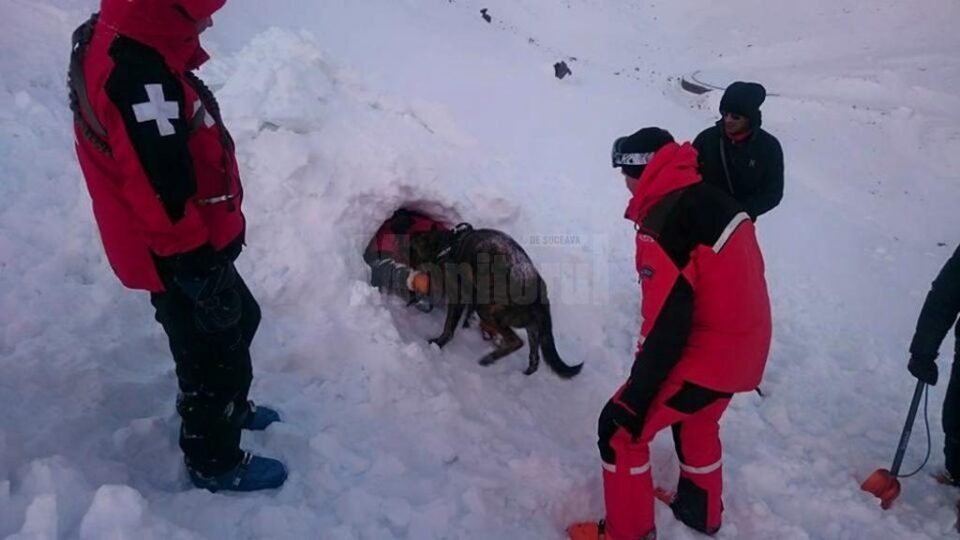 Exercițiile derulate în munții Făgăraș au fost extrem de stricte