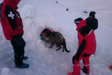 Exercițiile derulate în munții Făgăraș au fost extrem de stricte