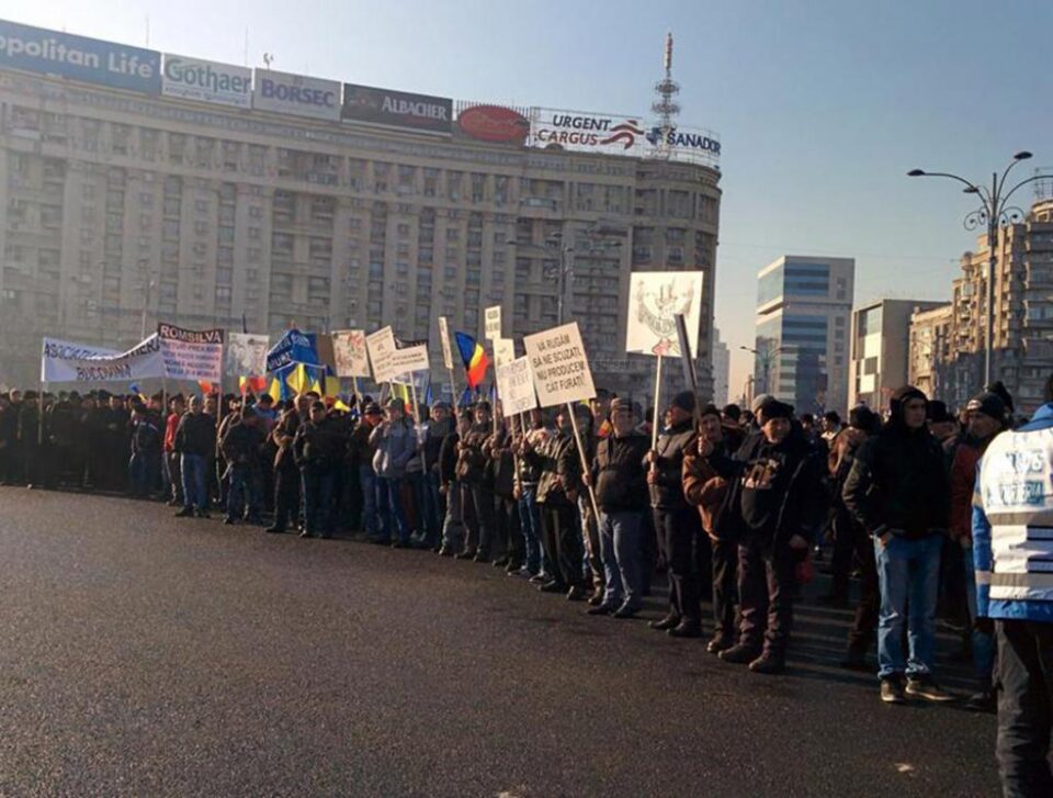 Peste 1.500 de forestieri suceveni au protestat în fața Guvernului, din cauza blocajului de pe piața lemnului