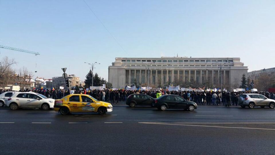 Peste 1.500 de forestieri suceveni au protestat în fața Guvernului, din cauza blocajului de pe piața lemnului