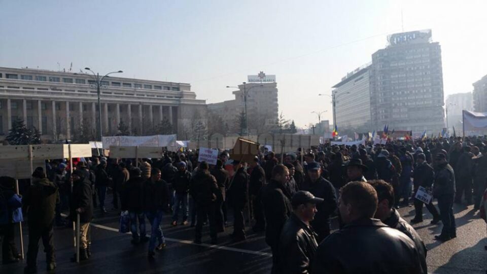 Peste 1.500 de forestieri suceveni au protestat în fața Guvernului, din cauza blocajului de pe piața lemnului