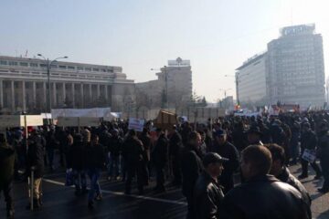 Peste 1.500 de forestieri suceveni au protestat în fața Guvernului, din cauza blocajului de pe piața lemnului