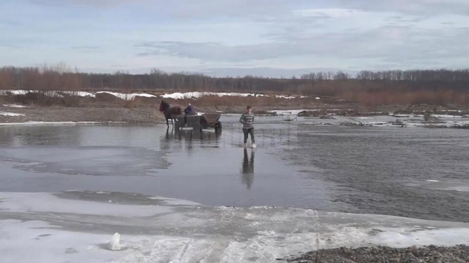 Râul Suceava, la Măneuți, avea ieri încă multe porțiuni înghețate