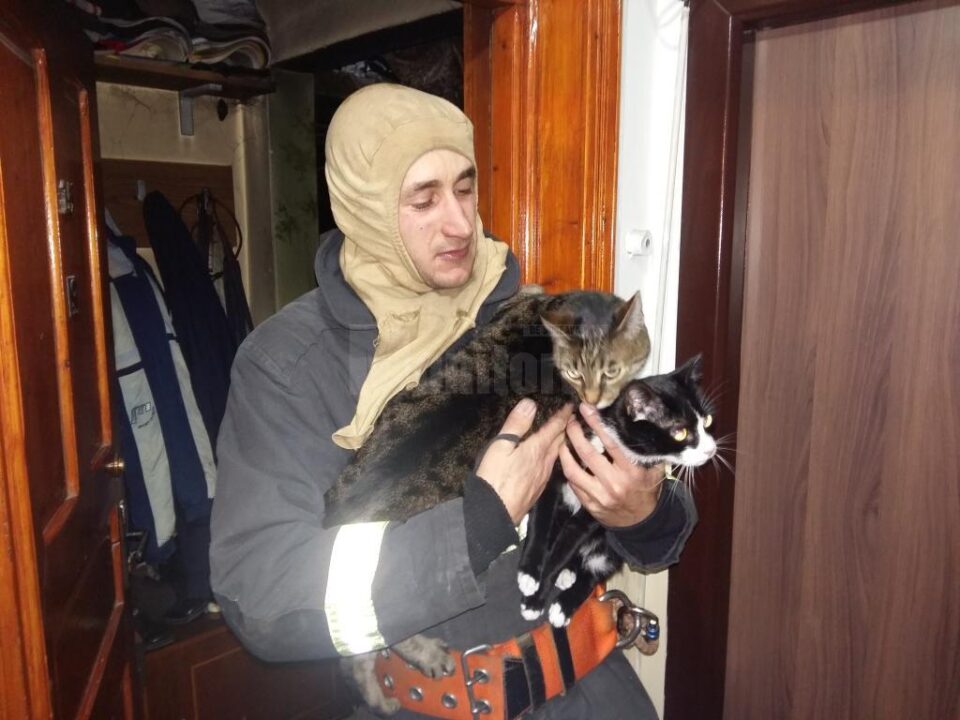 Pompierul și cele două pisici salvate