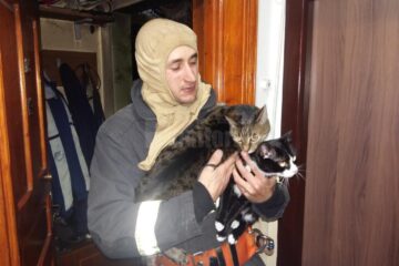 Pompierul și cele două pisici salvate