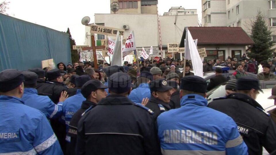 Contre dure între jandarmi și forestieri, în curtea Direcției Silvice Suceava