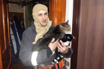 La rugămintea bărbatului, pompierii au scos din apartamentul inundat de fum și gaze toxice cele două pisici ale acestuia, rămase într-o cameră